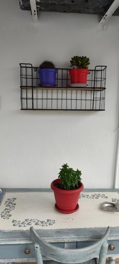 Apartment Tsaira 阿莫利亚尼岛 外观 照片