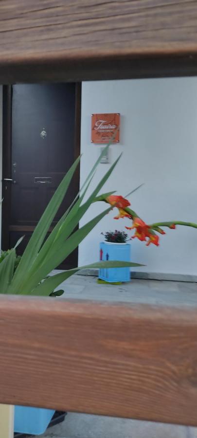 Apartment Tsaira 阿莫利亚尼岛 外观 照片