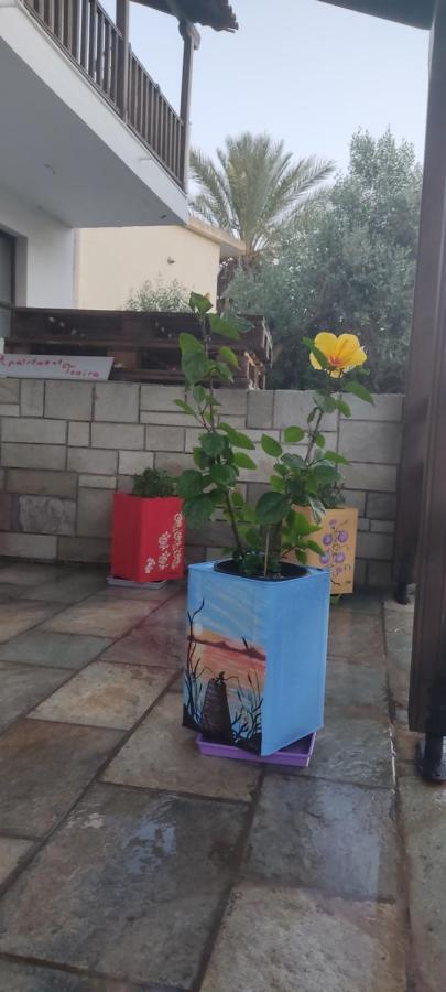 Apartment Tsaira 阿莫利亚尼岛 外观 照片